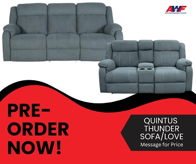 Quintus Thunder Reclining Sofa and Loveseat